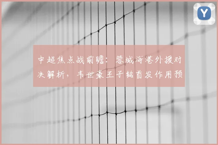 中超焦点战前瞻：蓉城海港外援对决解析，韦世豪王子铭首发作用预测
